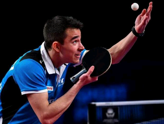 斯帕莱蒂的 斯帕莱蒂的