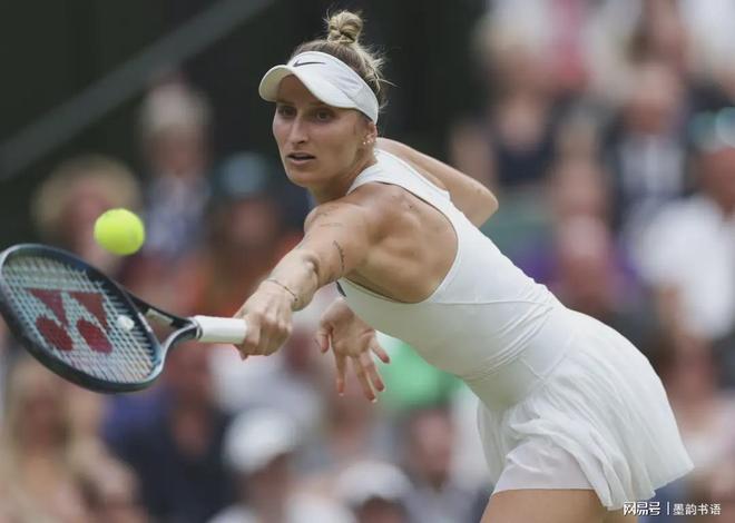 能与战术执 能与战术执