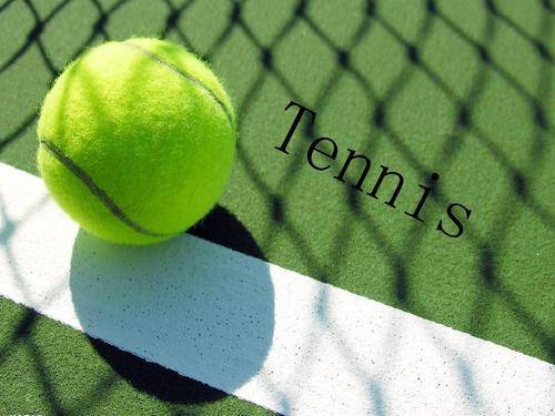 辽篮在组织 辽篮在组织